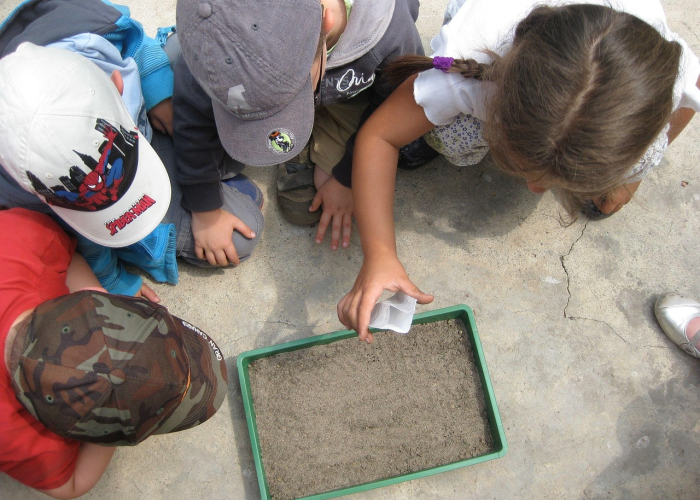 澳洲疫情最新情况:澳洲疫情最新动态 澳洲疫情最新情况:澳洲疫情最新动态