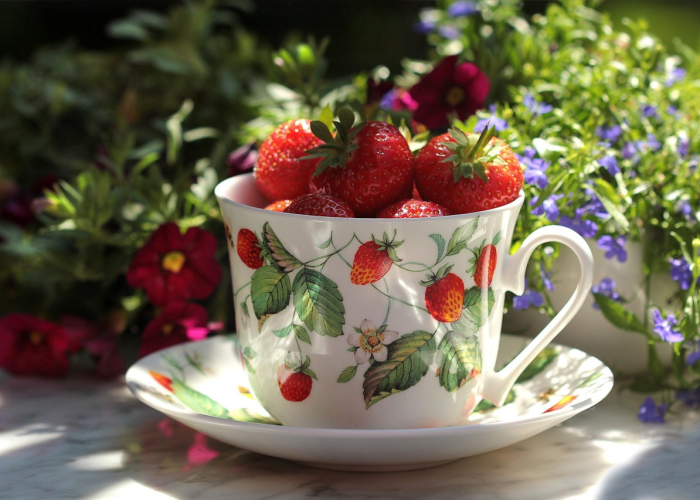 广州摘水果:广州摘水果的地方 广州摘水果:广州摘水果的地方