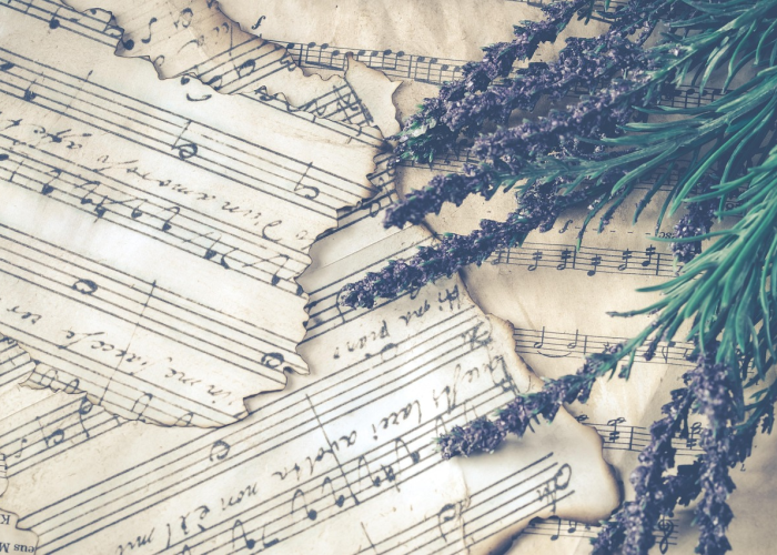 俄罗斯大选几年一次?(俄罗斯大选2020在几月) 俄罗斯大选几年一次?(俄罗斯大选2020在几月)