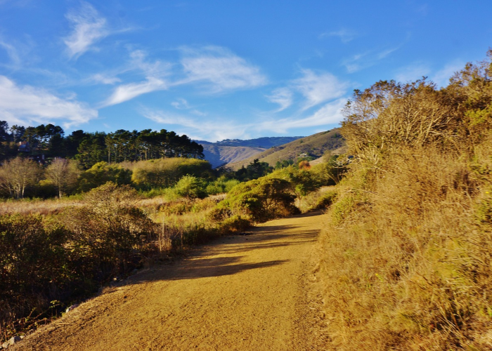 贰0贰0年壹月贰捌日鲁地战疫全景实录，齐鲁大地的紧急制动与温情坚守