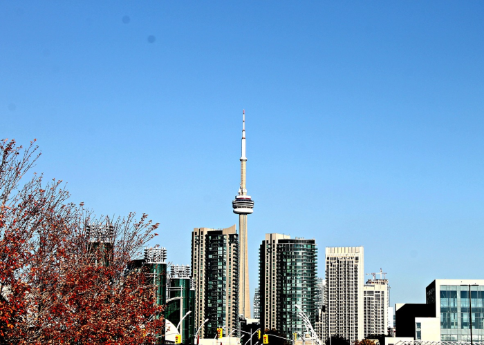 邯郸市最新疫情数据/邯郸市疫情状况