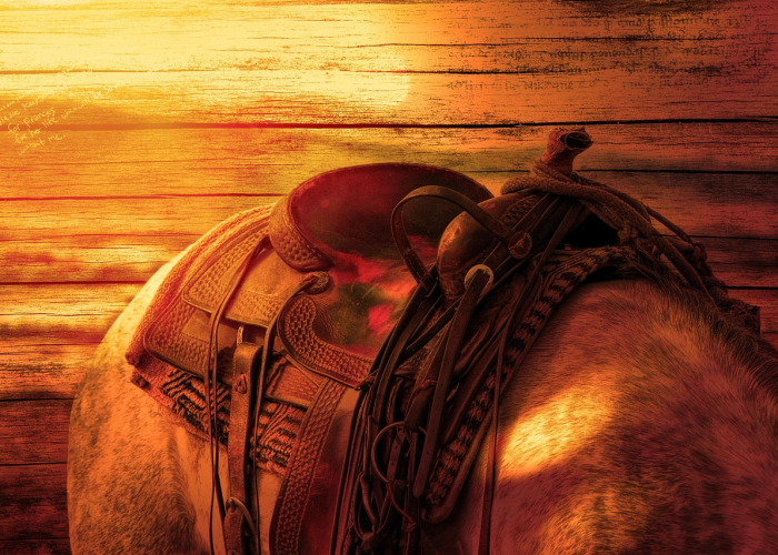 西城大爷的记忆坐标，一位普通北京人的防疫阻击战