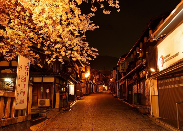 京都大学校园:京都大学校园面积