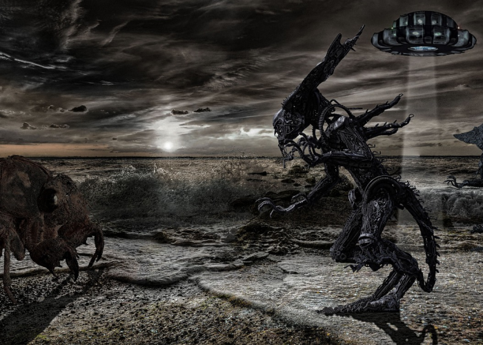 新冠将结束，人类坚韧与反思的里程碑