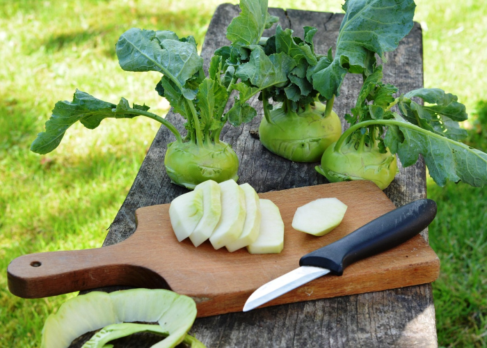 上海蔬菜种植基地分布解析，哪个区是真正的菜篮子？