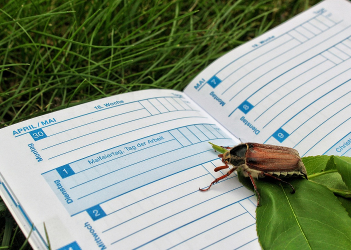 5月1日法定假日几天2025/5月1号法定假日