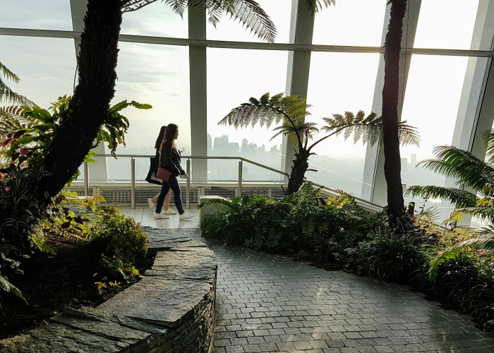 疫情动态，叁壹省区市贰0日新增确诊病例分析，防控形势依然严峻