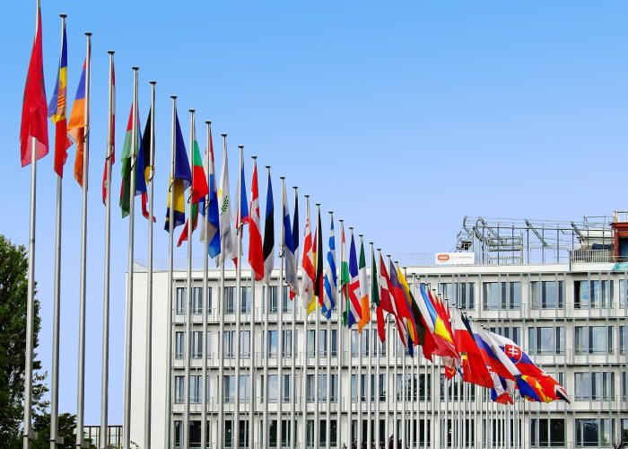 钟南山:中国将在年底建立有效的群体免疫/中国做到群体免疫了吗