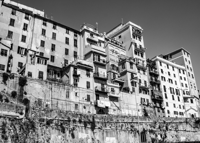 重庆情侣确诊曾到西安景点游玩具体时间:重庆情侣确诊 曾到西安景点游玩具体时间