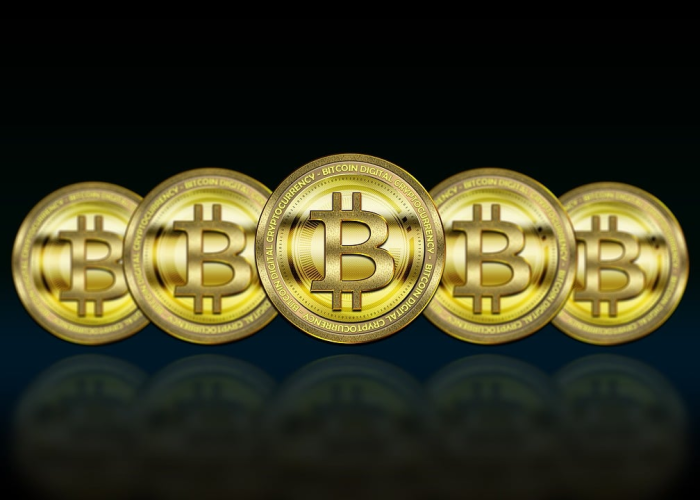 菜百黄金金价今日价格走势/菜百黄金今日金价多少钱一克