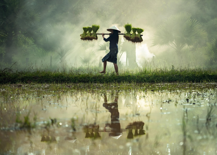 国庆免费时段,一场全民出行的盛宴与反思 国庆免费时段,一场全民出行的盛宴与反思