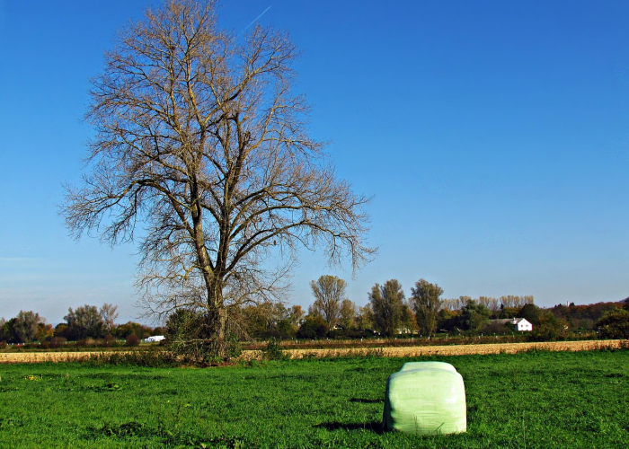 北京进返京政策再调整,最新动态与全方位解读 北京进返京政策再调整,最新动态与全方位解读