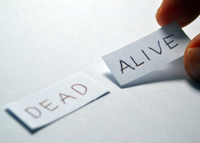 高考成绩揭晓日，每年六月下旬的期待与抉择