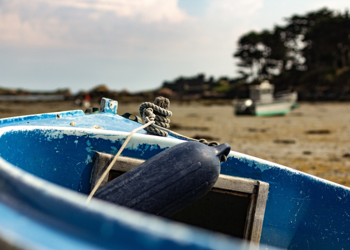 上海疫情最新动态,精准防控下的城市守护与生活新常态 上海疫情最新动态,精准防控下的城市守护与生活新常态