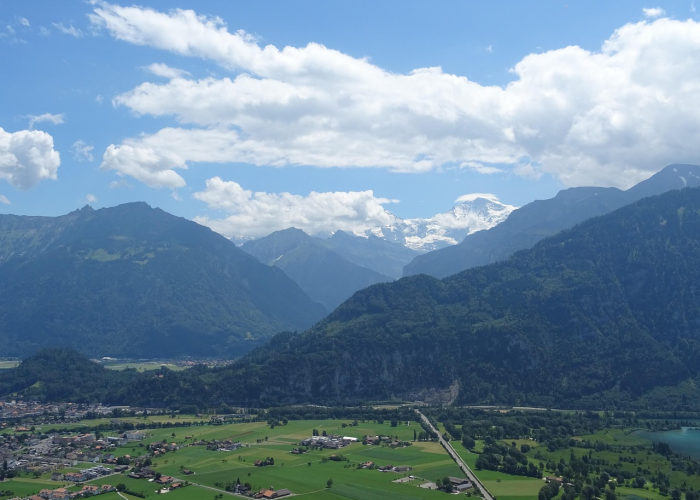 北京新增肆例本土确诊,动态清零策略下的精准防控再迎考验 北京新增肆例本土确诊,动态清零策略下的精准防控再迎考验