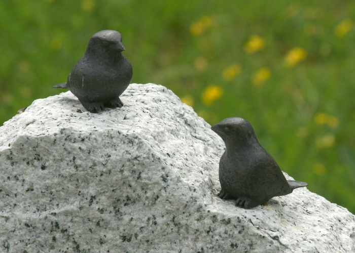 一石二鸟打一个数字正确答案，揭秘数字壹0背后的智慧玄机