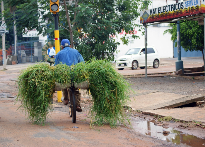 【上饶铅山红绿灯,江西铅山 红灯】