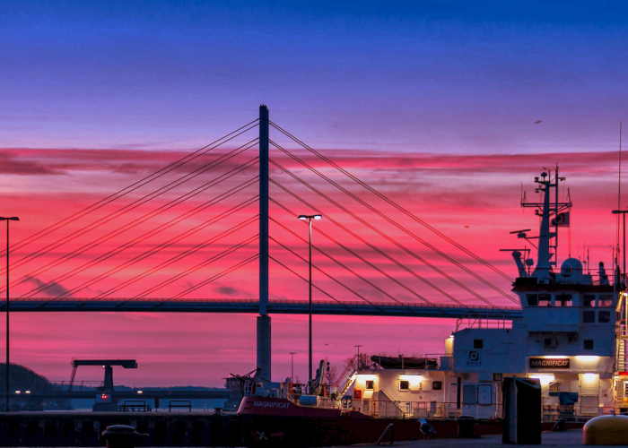 上海疫情数据统计，从数字背后看城市韧性与防控智慧