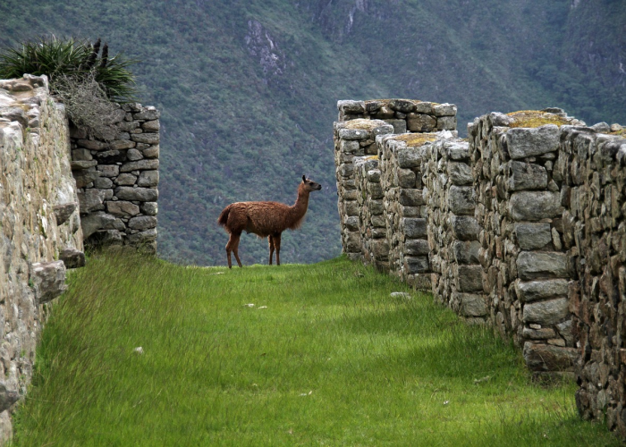 弥勒封路最新情况/弥勒封城了吗
