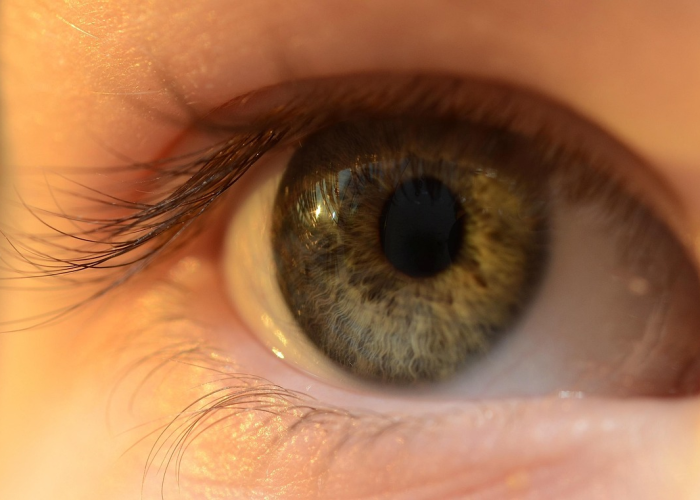 南京43人阳性(南京43人感染) 南京43人阳性(南京43人感染)