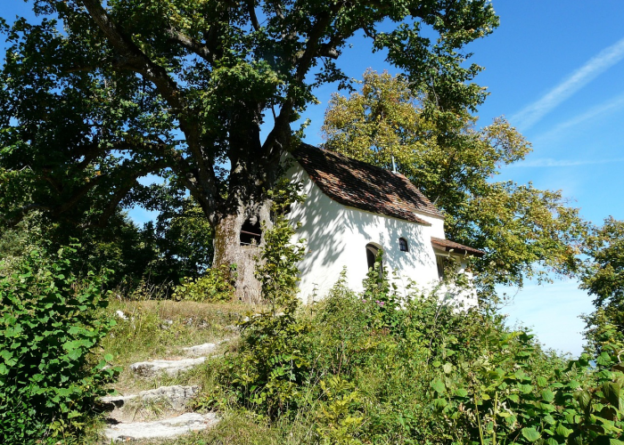 中国四季的分水岭，揭秘春夏秋冬最具代表性的五天