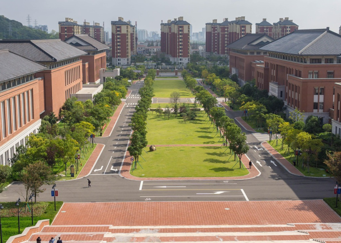 【浙江大学新冠肺炎/浙大出现新冠】