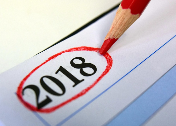 2025春节日历/2025春节日历英文 2025春节日历/2025春节日历英文