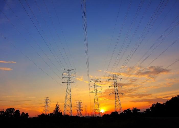 202l奥运会开幕式/2021年的奥运会开幕式 202l奥运会开幕式/2021年的奥运会开幕式