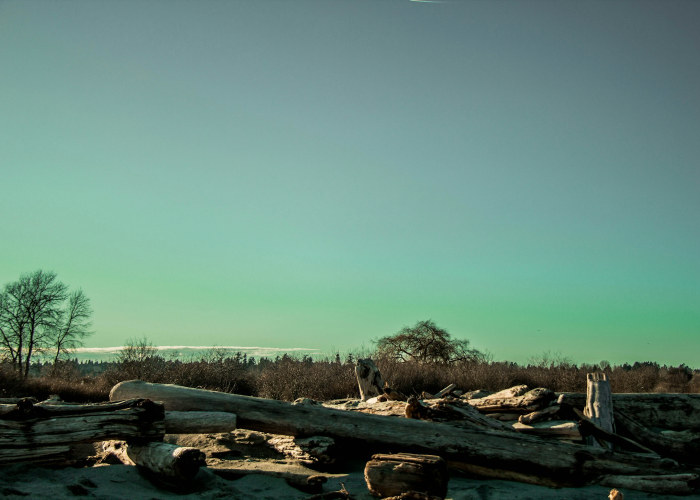 【2025年清明节高速免费吗?湖北恩施有哪些好玩的地方?/湖北恩施免门票吗】