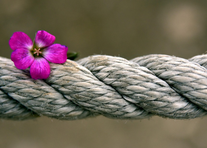 变异株流行特点/变异株流行特点有哪些 变异株流行特点/变异株流行特点有哪些