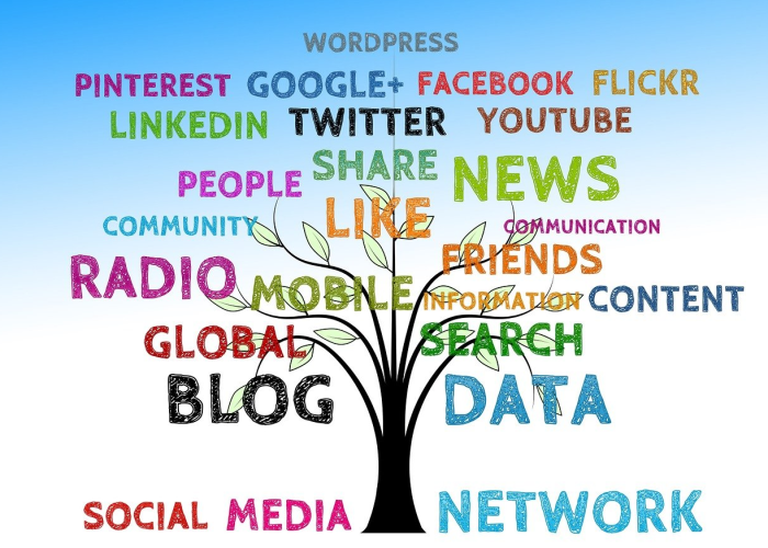 邢台新闻快报在线观看/邢台电视台新闻快报 邢台新闻快报在线观看/邢台电视台新闻快报