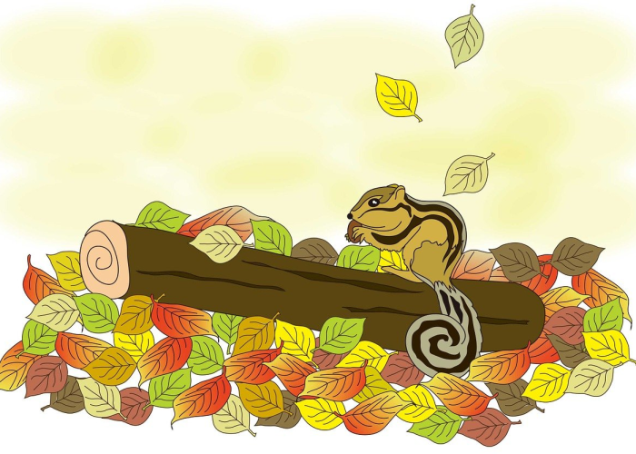 混水摸鱼下一句什么/混水摸鱼打一个生肖 混水摸鱼下一句什么/混水摸鱼打一个生肖