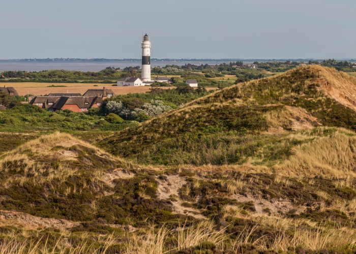 平原新最新消息/平原县疫情最新消息 平原新最新消息/平原县疫情最新消息