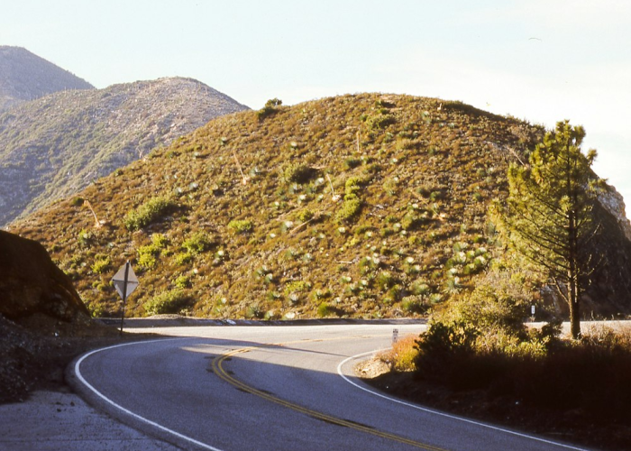 【2021高速路清明节免费时间规定,高速公路免费2021年清明节具体时间】 【2021高速路清明节免费时间规定,高速公路免费2021年清明节具体时间】