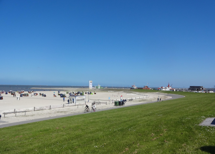 【洛阳新安新闻最新一期/洛阳新安县最新消息】 【洛阳新安新闻最新一期/洛阳新安县最新消息】