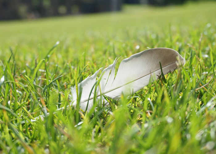 冬奥会2021几月几日:2021冬奥会什么时候 冬奥会2021几月几日:2021冬奥会什么时候