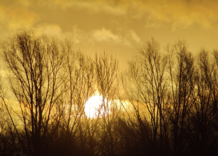 实时股市动态(实时股市动态行情走势) 实时股市动态(实时股市动态行情走势)