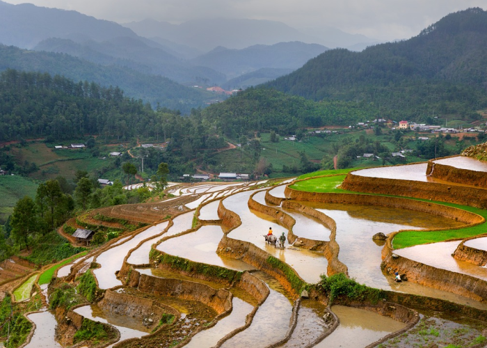 安新端村镇几个村/安新端村确诊 安新端村镇几个村/安新端村确诊
