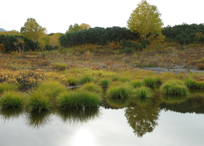 【沈阳怪坡虎园游玩攻略/沈阳怪坡虎园都有什么动物】 【沈阳怪坡虎园游玩攻略/沈阳怪坡虎园都有什么动物】