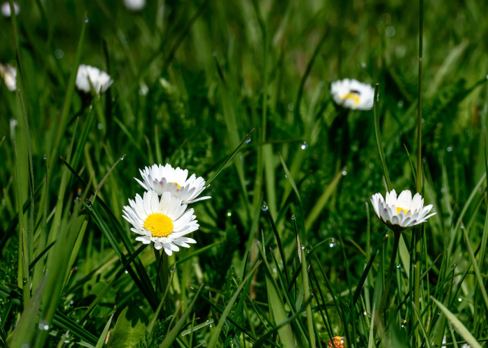 【2024霸气有正能量句子早安,女王霸气正能量句子】