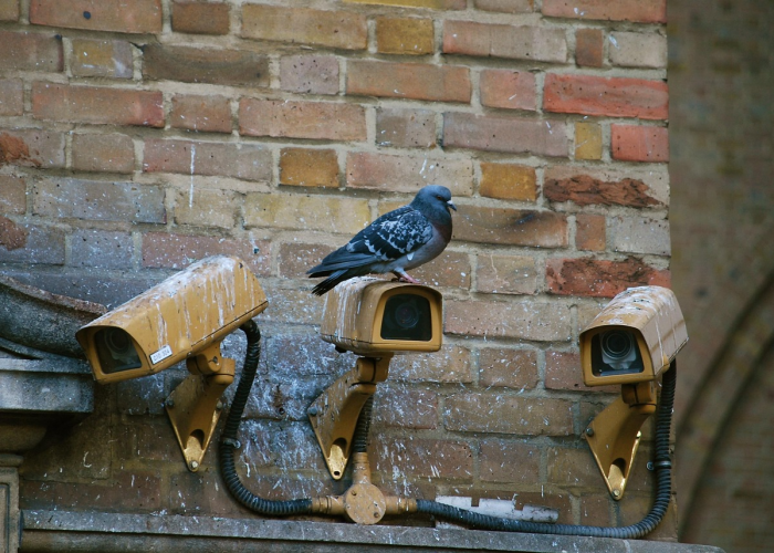 【部落守卫战攻略视频大全/部落守卫战攻略视频大全下载】