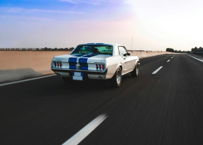 高速费免费时间2023年时间(202高速路免费时间规定) 高速费免费时间2023年时间(202高速路免费时间规定)