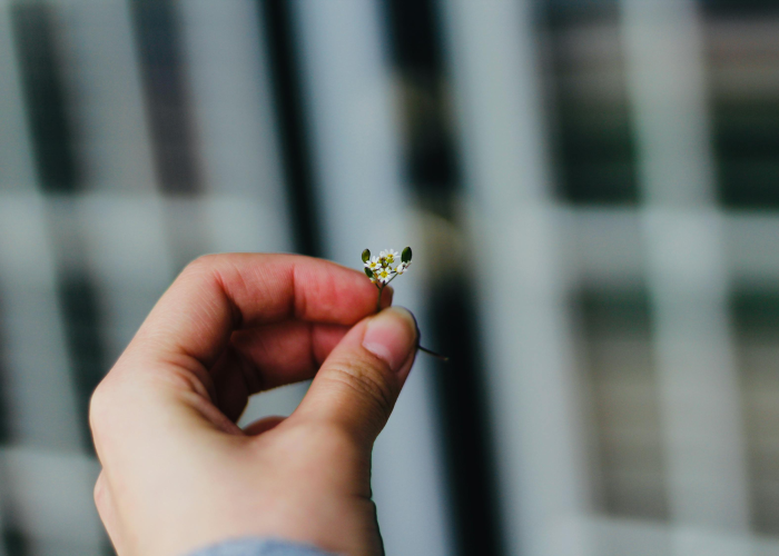 无症状感染者难道不是确诊:无症状感染者难道不是确诊病例吗