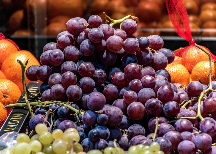 摩尔庄园天使蛋怎么获得/摩尔庄园天使蛋出现的地方 摩尔庄园天使蛋怎么获得/摩尔庄园天使蛋出现的地方