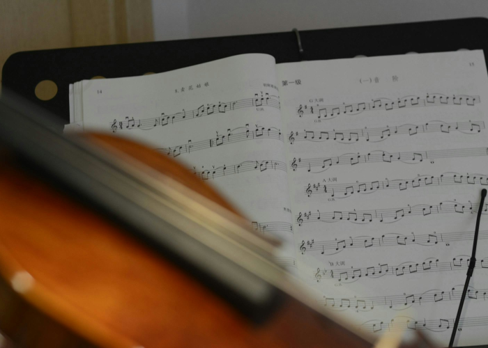 十四运时间(十四运时间线) 十四运时间(十四运时间线)