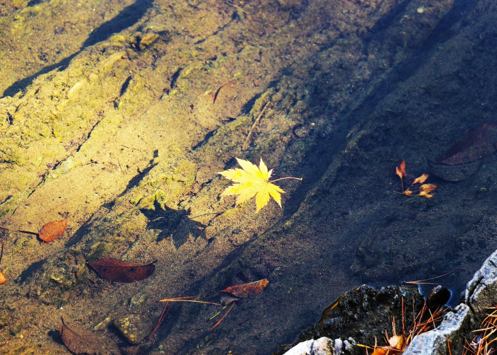 【福建疫情房屋倒塌,福建疫情房屋倒塌原因】 【福建疫情房屋倒塌,福建疫情房屋倒塌原因】