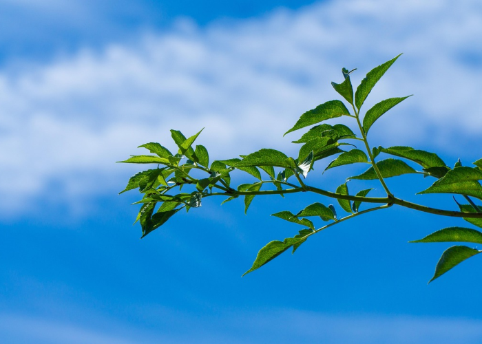 西安疫情2021最新消息/西安疫情最新动态